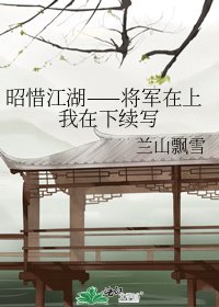 《昭惜江湖——将军在上我在下续写》