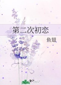 《第二次初恋》