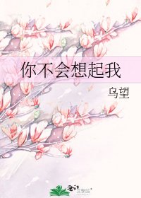 《你不会想起我》