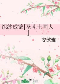 织纱成锦[圣斗士同人]