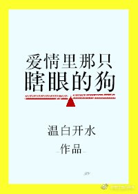 《爱情里那只瞎眼的狗》