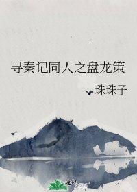 《寻秦记同人之盘龙策》