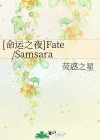 [命运之夜]Fate/Samsara