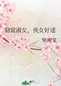 《窈窕淑女,侠女好逑》
