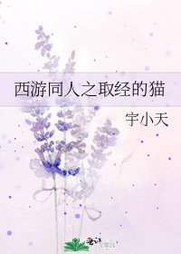 《西游同人之取经的猫》