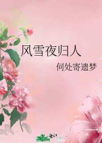 风雪夜归人