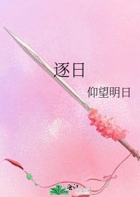 《逐日》