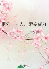 《相公、夫人、妻妾成群》