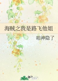 《海贼之我是路飞他姐》