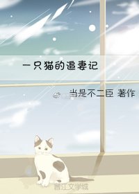 《一只猫的追妻记》