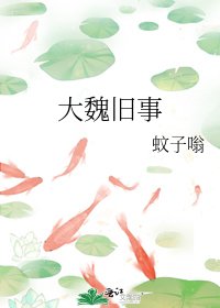《大魏旧事》