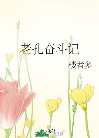 老孔奋斗记