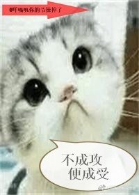 《不成攻,便成受gl》