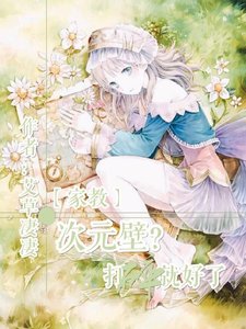 《(家教)次元壁?打碎就好了》