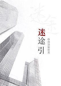 《迷途引》