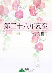 《第三十八年夏至》