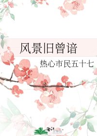 《风景旧曾谙》