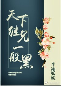 《天下继兄一般黑》