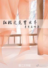 红楼之见贤思齐