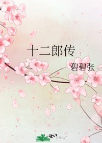 《十二郎传》