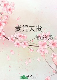 《妻凭夫贵》