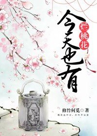 《今天也有烂桃花》