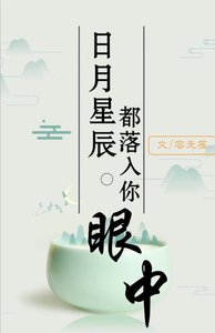 《日月星辰都落入你眼中》