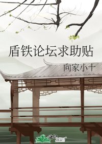 《盾铁论坛求助贴》