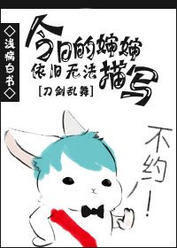 [刀剑乱舞]今日的婶婶依旧无法描写