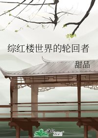 综红楼世界的轮回者
