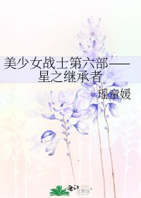 《美少女战士第六部——星之继承者》