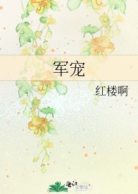 军宠