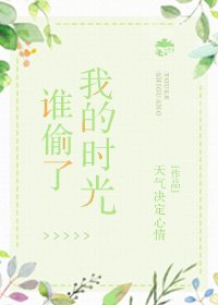 《谁偷了我的时光》