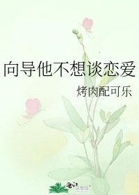 《穿越之异度王牌》