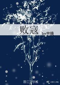 《败寇》