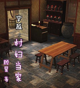 《穿越之村妇当家》