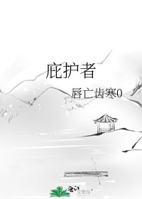 《庇护者》