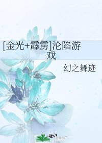 [金光+霹雳]沦陷游戏