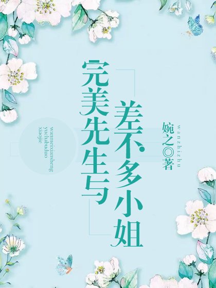 《完美先生与差不多小姐》