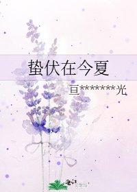 《蛰伏在今夏》