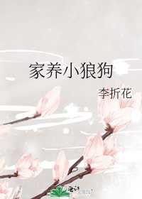 《家养小狼狗》