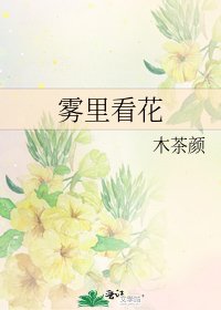 《雾里看花》