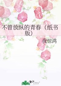 《不曾放纵的青春(纸书版)》