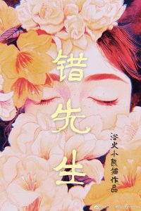 《错先生》