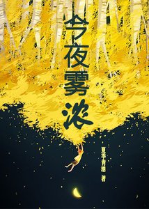《今夜雾浓》