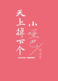 《天上掉下个小哑巴》