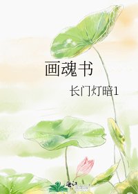 《画魂书》