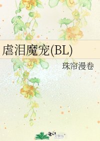 《虐泪魔宠(BL)》