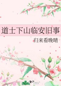 《道士下山临安旧事》