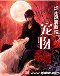 《宠物系统》